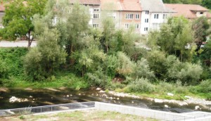 11924680_1044163232261112_325269270_o