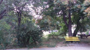 nichia-zemya-gradinka