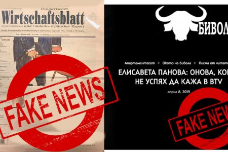 Черният лебед на Лозан Панов: Институциите се държат като бригади на СИК!