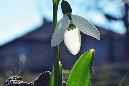 Ще се задържи ли пролетното време и през новата седмица?