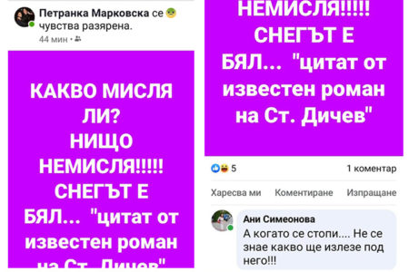 Съдия Антоанета Симеонова и полицай Петранка Марковска по цял ден са в нета, а за това получават заплати?!