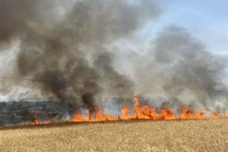Множество регистрирани пожари през изминалия ден в област Ловеч